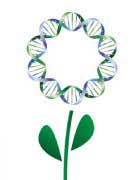 Nutritional Health Solutions Logo